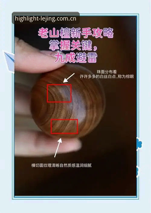 深度揭秘：拼出你的高光时刻中国官网评测，新手与老手都需要的避坑指南